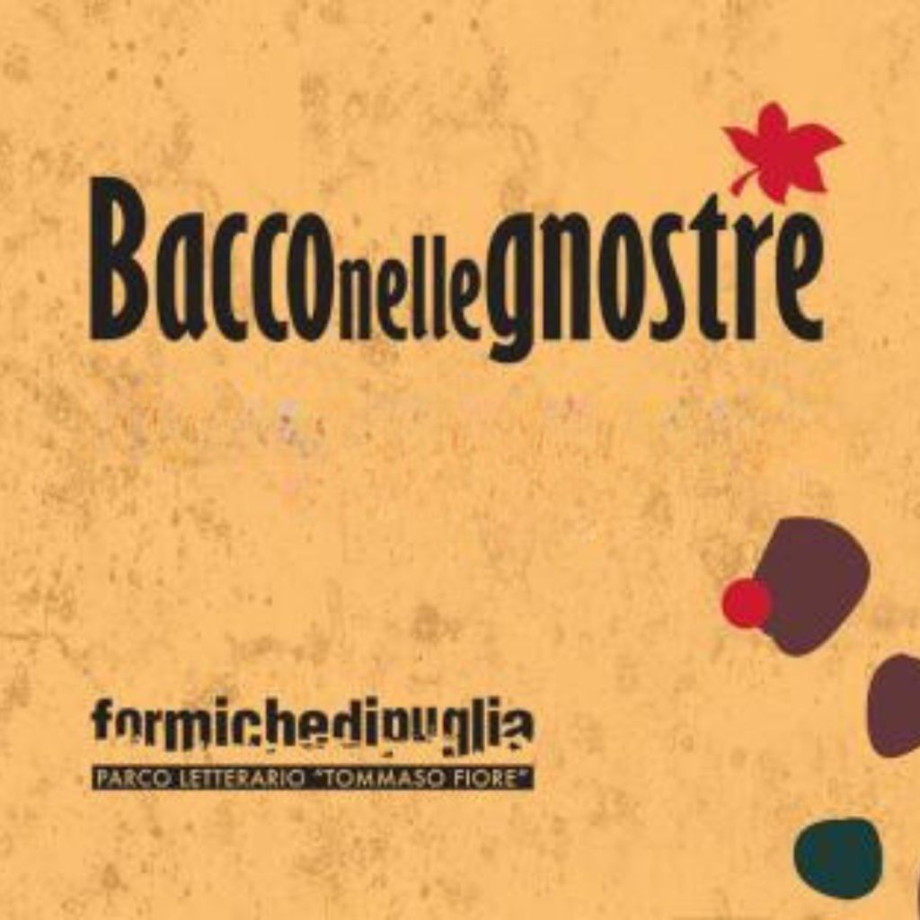 12001200 sito web (2)